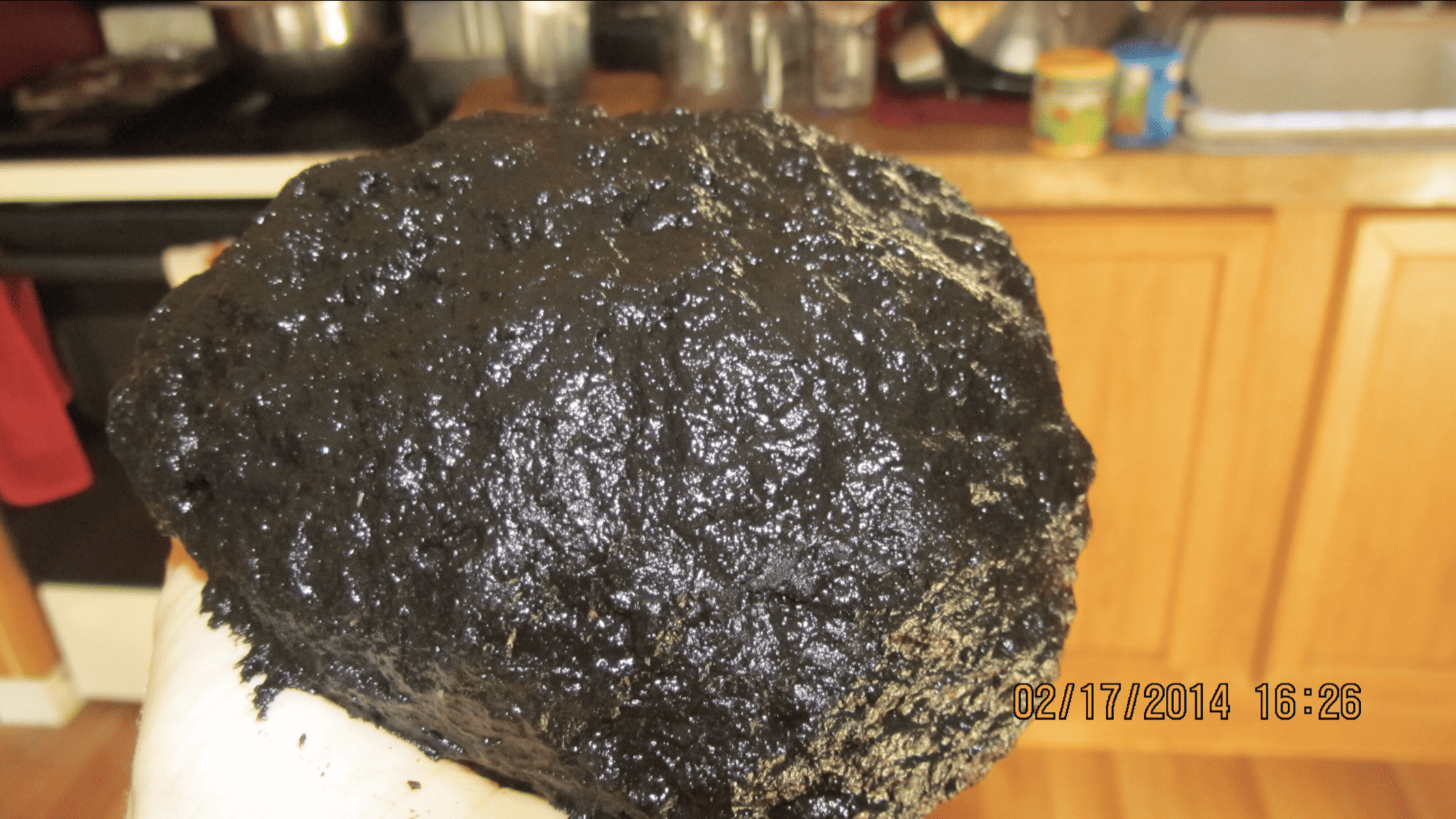 Make a Charcoal Poultice the Clean and Neat way Ridge Haven Homestead