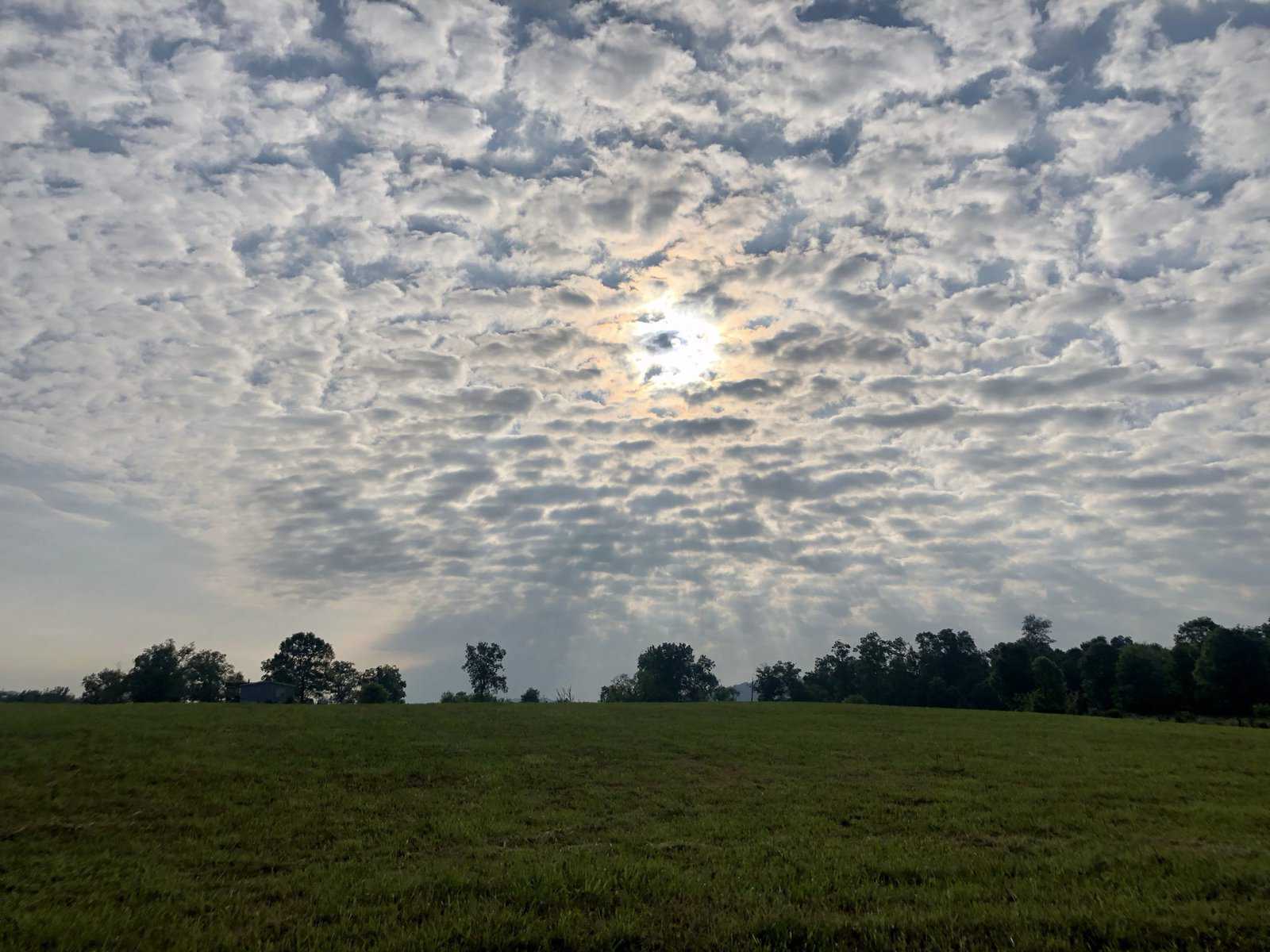 Homestead Blog Hop 449 – Ridge Haven Homestead